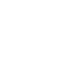 hire dotnet developer