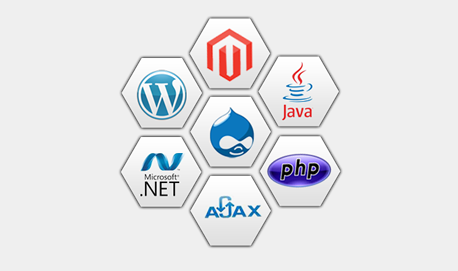 enterprise web development