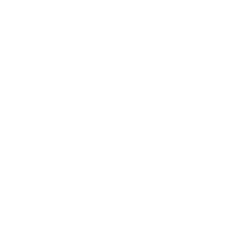 hire wordpress developer